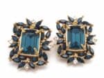 Montana Dream Earring